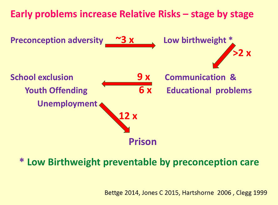 Showing how early problems increase relative risks through stages. Preconception adversity leads to low birthweight (over 2x risk), which can result in various issues, culminating in a 12x risk of prison. Notable stages: school exclusion, youth offending, unemployment.