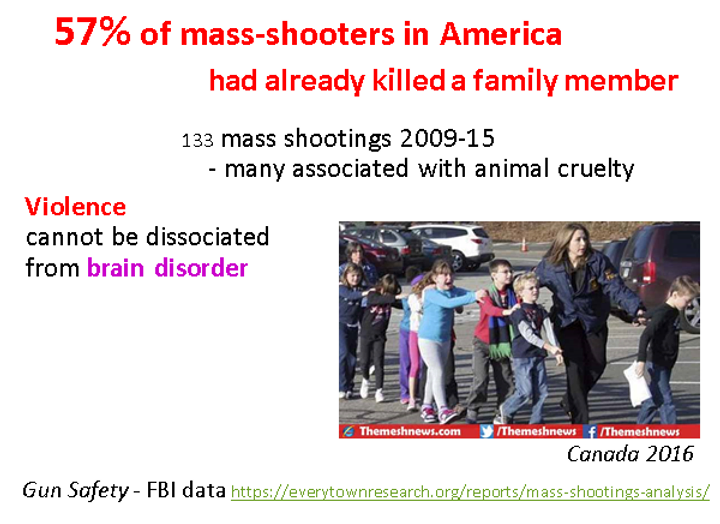 57% of mass shooters in America had already killed a family member. Violence cannot be disociated with brain disorder.