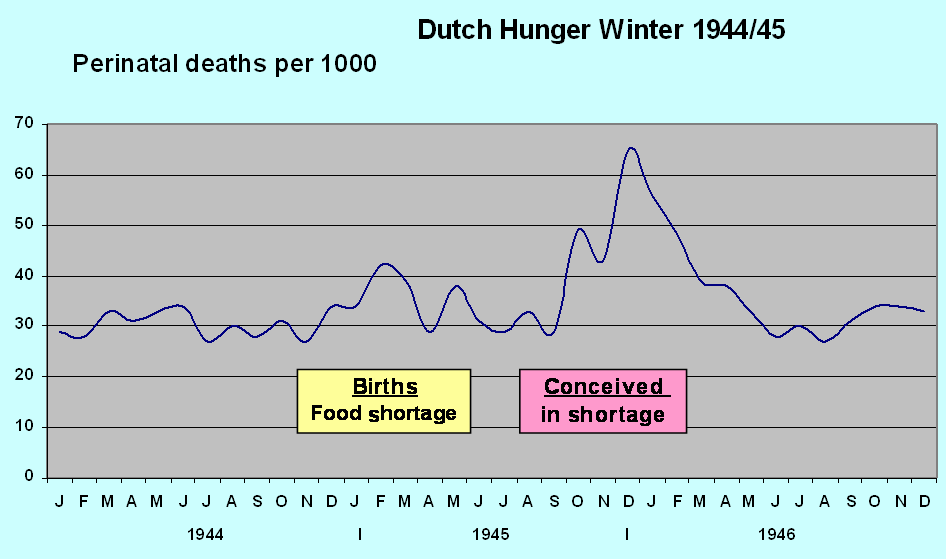 Chart of perinatal deaths per 1000 shown rising sharply during the period in question