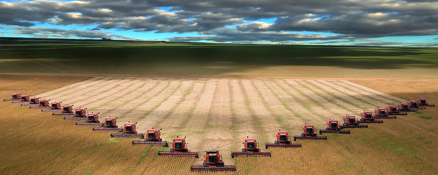 Wide-angle photo from a high angle: a large number of combine harvesters under a forbidding skyline reaping a vast field of wheat. They run in a vee-formation. They are threatening-looking.