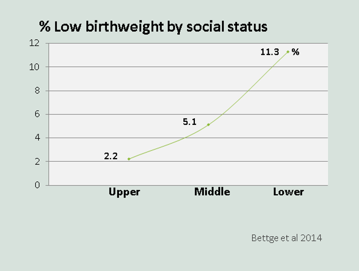 Shart showing percentage of low birth rate by social status. The lower the percentage, the higher the social status