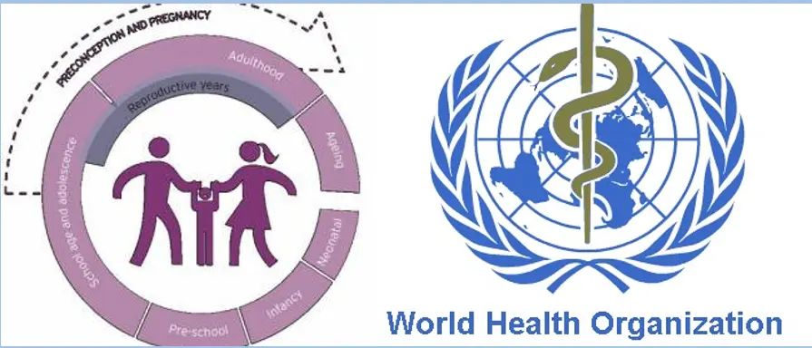 Diagram showing cycle of preconception though to various life stages, next to WHO logo